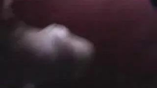 Kink ebano, შავი, აჩვენა ნიჭი მერცხალი ყლე და თესლი