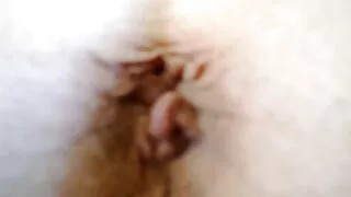 თების წინ